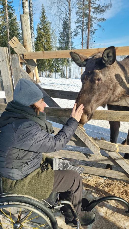 The Friendly Moose Ξενοδοχείο Overtornea Εξωτερικό φωτογραφία