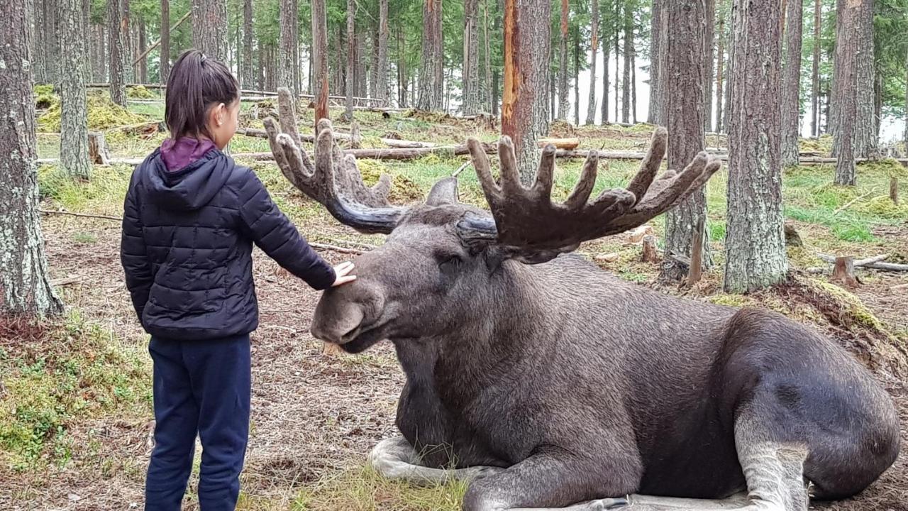 The Friendly Moose Ξενοδοχείο Overtornea Εξωτερικό φωτογραφία